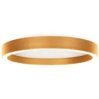 Steinhauer Design plafondlamp Ringlux goud Ø 30cm
