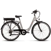 SAXONETTE Degreaser e-bike female
