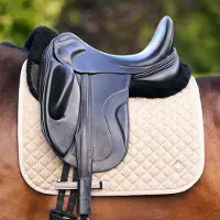Imperial Riding Zadeldek Irhpenny Dressuur Beige