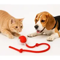 Snq Interactief Kattenspeeltuig - Automatisch Rolkogeltje met Staart - Oplaadbaar via USB - Bewegingsgevoelig - Voor Binnenkattengedrag - Veilig en Slijtvast - Geschikt voor Alle Leeftijden
