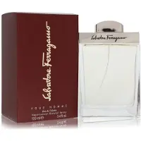 Salvatore Ferragamo eau de toilette spray 100 ml