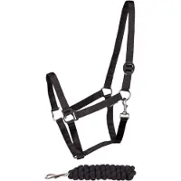 Harry's Horse Initial halsterset Kleur: zwart, Maat paard: full