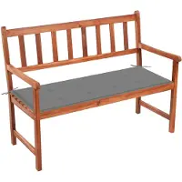 vidaXL Tuinbank met kussen 120 cm massief acaciahout