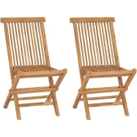 vidaXL Inklapbare stoelen 2 st massief teakhout