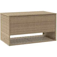 vidaXL Opbergbox voor buiten 100x55x55,5 cm poly rattan beige