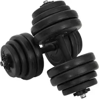 vidaXL Halve gewichtsschijven, 2x15 kg