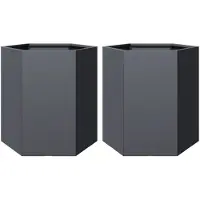vidaXL Plantenbakken 2 st zeshoek 46x40x45 cm staal antracietkleurig
