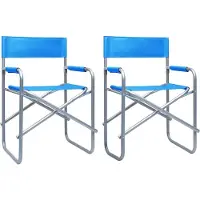 vidaXL Regisseursstoelen 2 st staal blauw