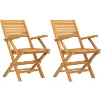 vidaXL Klapstoelen, 2 stuks, 55 x 62 x 90 cm, massief teakhout