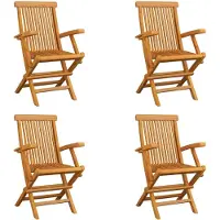 vidaXL Tuinstoelen 4 st inklapbaar massief teakhout