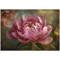 WALLARENA - Behang 250x175 cm - Fotobehang - Vliesbehang - grote vintage bloemen - voor slaapkamer en woonkamer - halfmatte afwerking