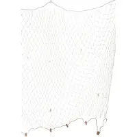 J-Line decoratie waterbal Walvis - polyresin - lichtgroen - large - set van 2