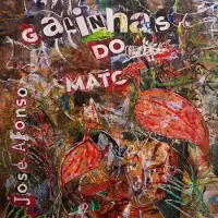 Socadisc Cnt Galinhas Do Mato