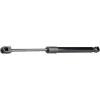 RIDEX 219G0037 Gasveer achterklep
