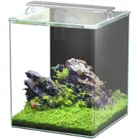 Smulders Aquatlantis kubus curve essential 65l (led biof)
