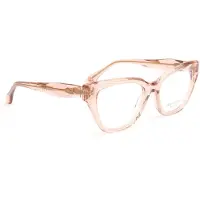 Ana Hickmann Optical Frame AH6546 T02 52