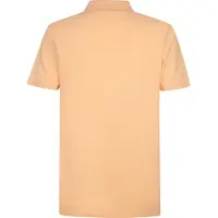 Petrol Industries Shirt 'Dolphin' pasteloranje