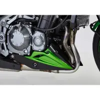 Bodystyle BUGSPOILER ** Z900 24- ZWART