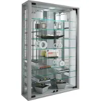 Hioshop VitrosaMini vitrinekast wandmontage met spiegel 2 glazen deuren zilverkleurig.
