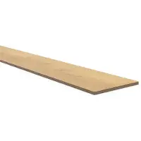 Maestro Stootbord PVC Cashew Oak – 1500x200x10 mm | Traprenovatie