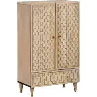vidaXL Hoge kast 60x33x100 cm massief mangohout