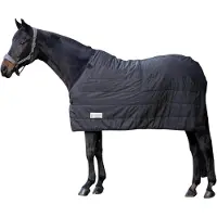 Waldhausen Economic - Onderdeken - 100 gr - Paardendeken - 195 cm - Zwart