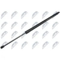 NTY AE-WW-074 Gasveer achterklep