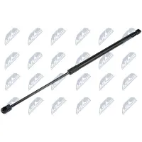 NTY AE-WW-131 Gasveer achterklep