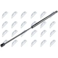 NTY AE-WW-012 Gasveer achterklep