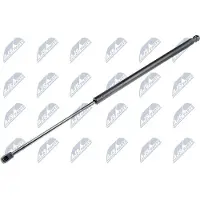NTY AE-WW-008 Gasveer achterklep