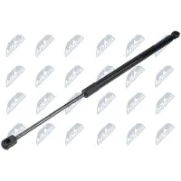 NTY AE-WW-132 Gasveer achterklep