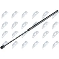 NTY AE-WW-055 Gasveer achterklep