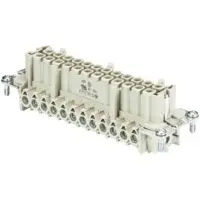 Wieland Electric 70.300.2440.0 Businzetstuk BAS Totaal aantal polen 24 + PE 1 stuk(s)