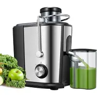 TIM. TIM Professionele Juicers - Sapcentrifuge voor Groenten & Fruit - Juicer Met 0,65 L Sapbeker en Pulpreservoir - 2 Snelheden - 600W - RVS / Zwart - Zilver - 29cm x 26cm x 18cm