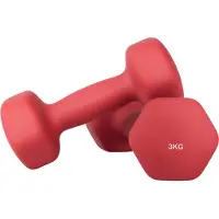 Songmics - Dumbells - Halterset 2 Stuks - 3 kg per Stuk - Hexagon Dumbbells voor Krachttraining Thuis