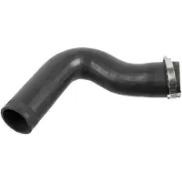 FEBI BILSTEIN 175707 Laadluchtslang