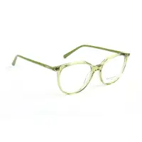 Ana Hickmann Optical Frame AH6617 T01 51