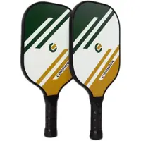 Lynx Sport Fiberglass Pickleball-peddel 2 Eenheden