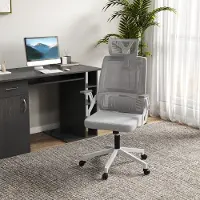 HAUSS SPOLE Bureaustoel 58 x 61 x 102 119 Cm - Ergonomisch Met Verstelbare Hoofdsteun En Lendensteun - Draaibaar - Gaas Grijs