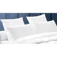 Vente-unique Set 2 Hoofdkussens DODO Natuurlijke dons BAFFIN - 65x65 cm