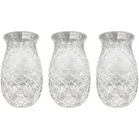 Melitt 3 Stuks Ananas Cocktailglazen Reliëf Sapglazen voor Cocktails en Drankjes