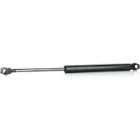 RIDEX 514G0072 Gasveer motorkap