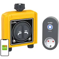 Rainpoint Ttv203frf + Twg004wr Irrigatiecontroller Voor 2 Zones Met App