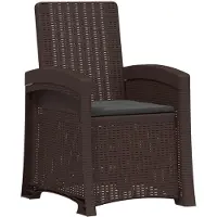 vidaXL Tuinstoel, fauteuil, rotanlook, bruin en antraciet, PP
