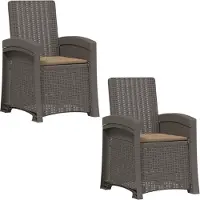 vidaXL Tuinstoel, 2 stuks, rotanlook, lichtgrijs en taupe, PP-materiaal