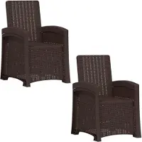 vidaXL Ligstoel Rieten Look 2 pcs Bruin PP