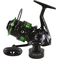 Maver Aslan Spinning Molen