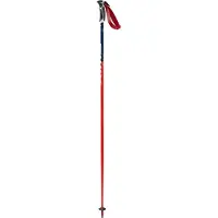 Swix Wc Pro Slalom Stokken