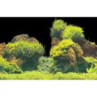 Superfish Aquarium Decoratie Poster E2 Multi 60 X 49 Cm