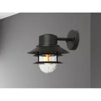 Franssen Landelijke Buitenlamp Helsinger Down Zwart
